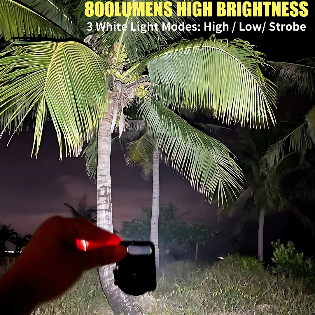 Lumi: Magnetic Keychain Mini LED Torch with Hook, Type-C port, Bottle Opener & Kickstand
