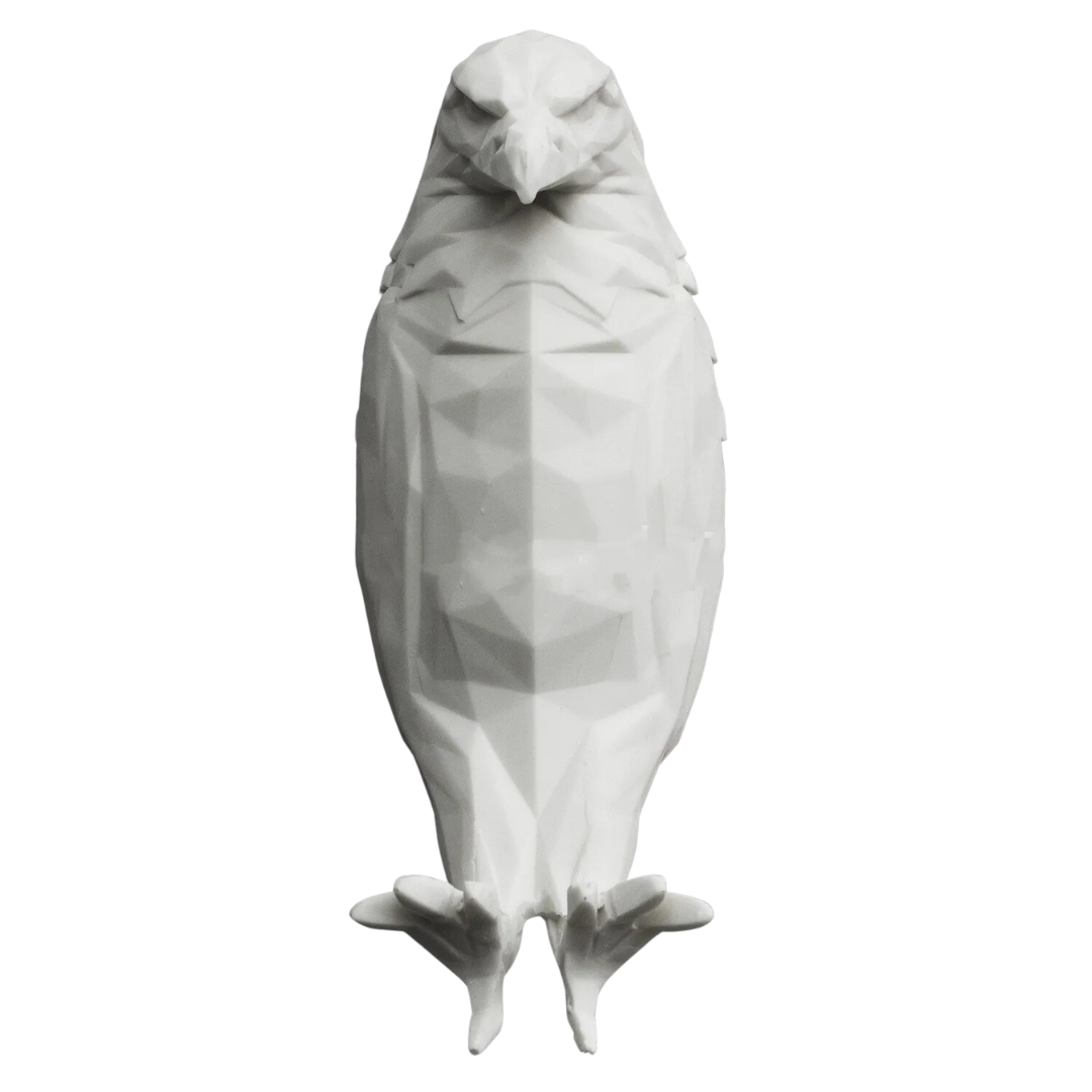 Raptor: Wall-Mounted 3D Eagle Shadow LED Lamp for Night Light & Statement Décor