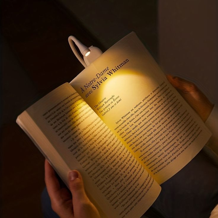 Immerse: Rechargeable Clip-On Book Light & Reading Lamp with 3-Color Modes, Type-C Charging & Flexible Gooseneck Night Reading for Book Lovers